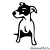 jack-russel-terrier-matrica21