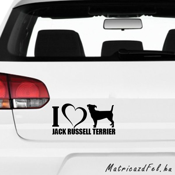 jack-russel-terrier-matrica35