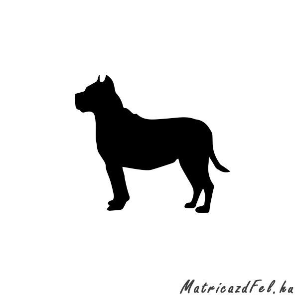 pitbull-matrica54