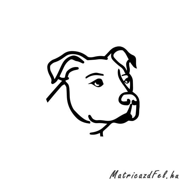 pitbull-matrica64