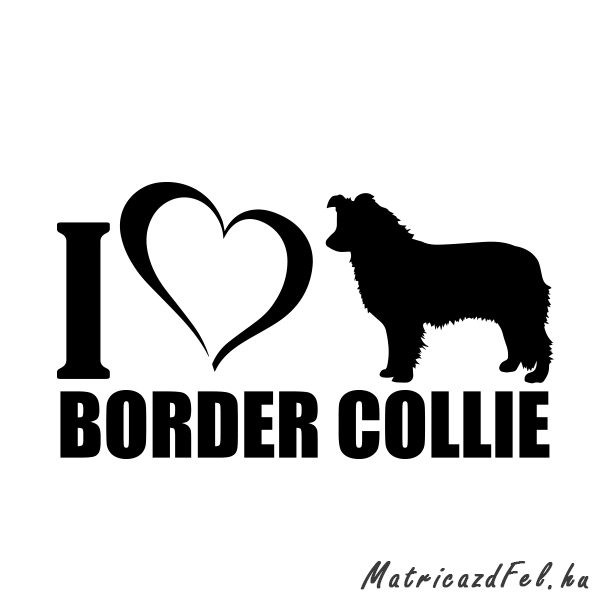 border-collie-matrica30
