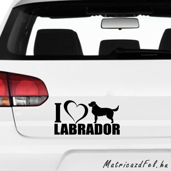 Labrador matrica 4