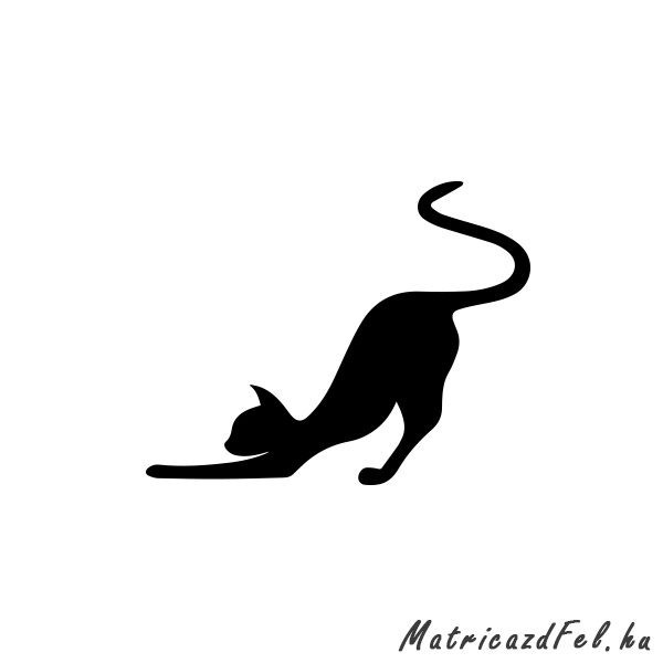 macska-huto-matrica
