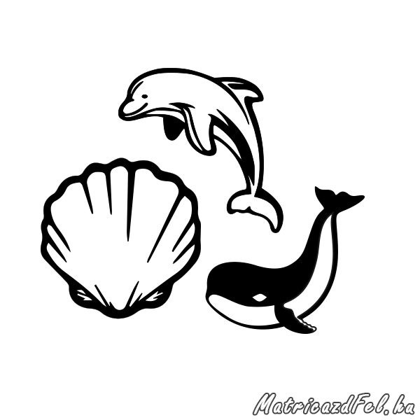 tengeri-allatok-csempematrica